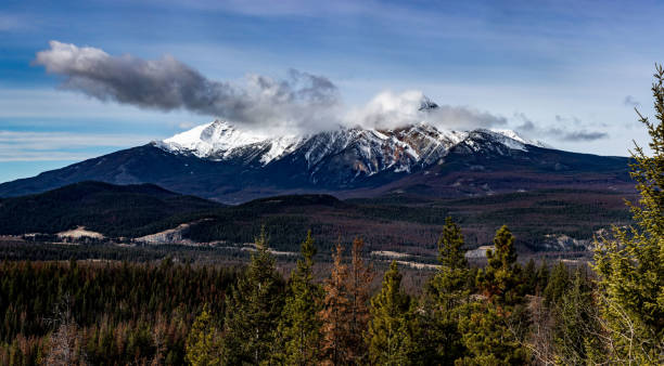 istock Jasper National Park in Canada 1336568129