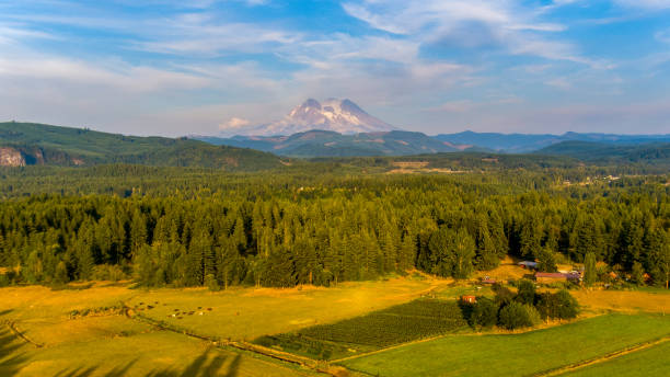 istock Mount Rainier & the Cascades 1336568137