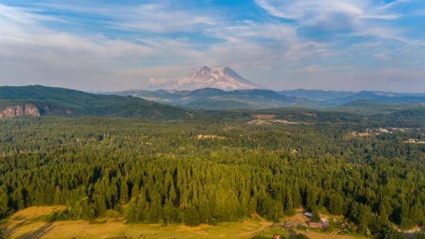 istock Mount Rainier & the Cascades 1336568716