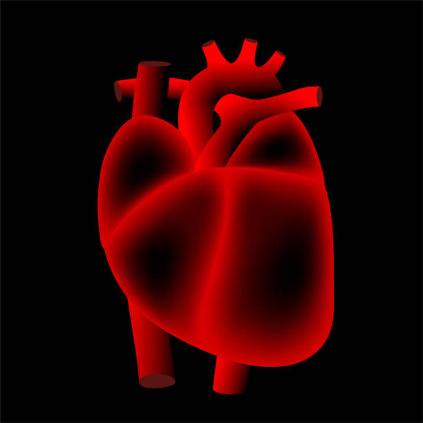 cholesterol_heart - human heart heart disease healthy lifestyle human internal organ stock-grafiken, -clipart, -cartoons und -symbole