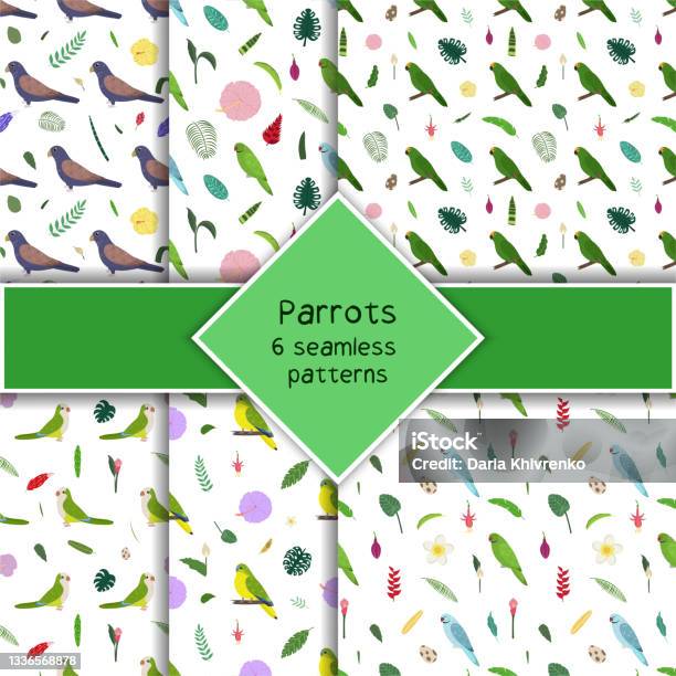 Parrot Cone Pattern Parrot Seamless Pattern Collection In Cartoon Style Parrots Bronze ...
