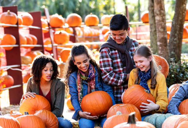 istock Four pre-teen children having fun at pumpkin patch 1336578868