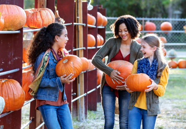 trzy nastolatki niosące dynie na targu rolników - pumpkin child little girls pumpkin patch zdjęcia i obrazy z banku zdjęć