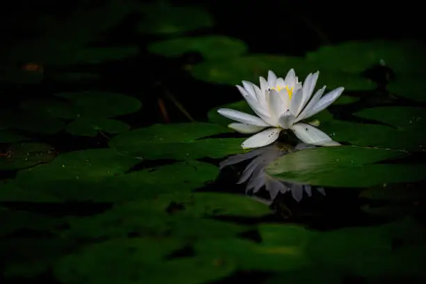 Photo of On the water