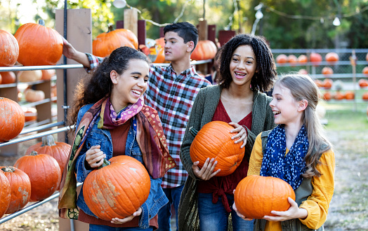 A multi-ethnic group of three tween girls picking out pumpkins at a farmers market. The friends are 12 years old, each holding a pumpkin, smiling and laughing.