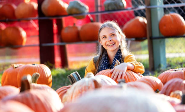 istock Girl sitting in pumpkin patch smiling 1336578983