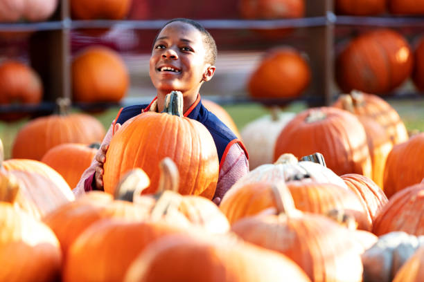 istock African-American boy sitting in pumpkin patch smiling 1336579070