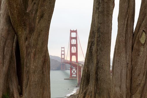 Viewed from California Coastal Trail, The Presidio, San Francisco, California, USA.