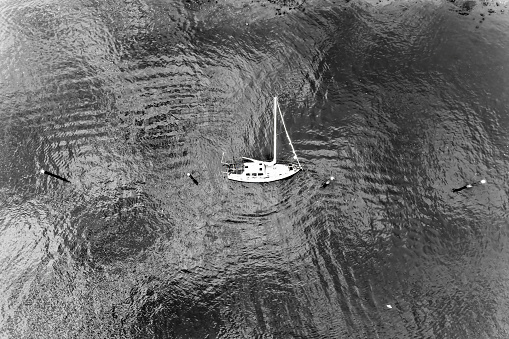 Monochrome yacht shipwreck in marina of small fishing village Brooklyn on Hawkesbury river in Greater Sydney, Australia. High-contrast BW aerial top down view.