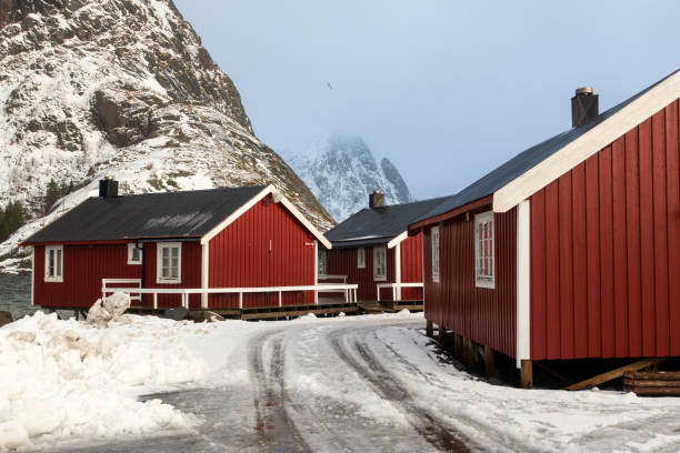 istock Red rorbu cottages at Hamnoy Village 1336588490