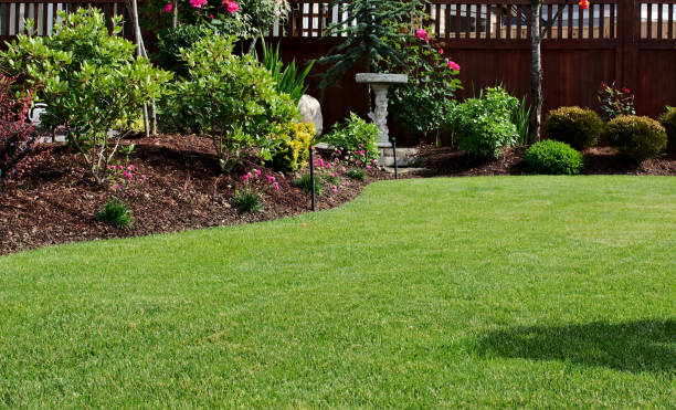 Garden Lawn Area Freshly mowed garden lawn grass area surrounded by flowerbeds planted with shrubs and bushes and border plants in bloom during springtime season on a sunny day. lawn stock pictures, royalty-free photos & images