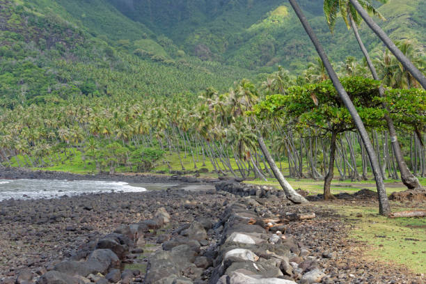 istock beach and peaks of aakapa- 1336601563