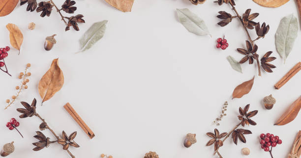 istock Autumn composition. blanket, autumn leaves on white background. Flat lay, top view copy space. 1336602968