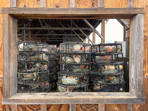 istock Looking through window at stacks of large round crab traps in harbor warehouse 1336607133