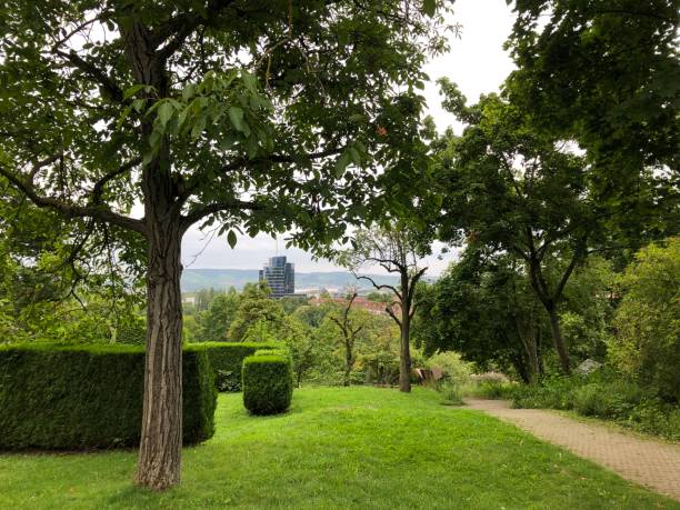A wonderful view to the city from garden