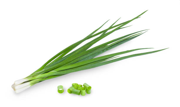 istock Bunch of scallion 1336611186