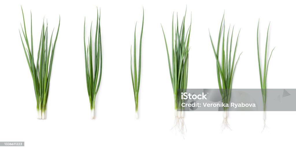 Scallion Types Scallion Set Stock Photo - Download Image Now - Bunch, Close-up, Color ...