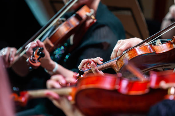 violinen in den händen von musikern - saite stock-fotos und bilder