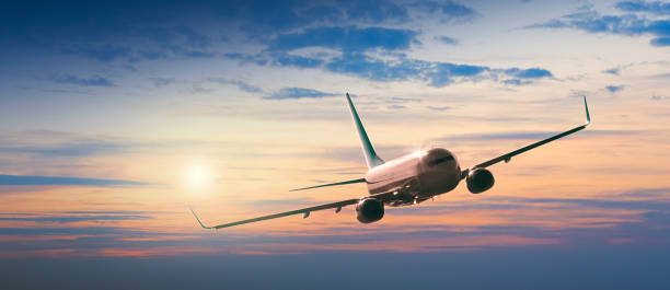 istock Passengers commercial airplane flying above clouds 1336613044