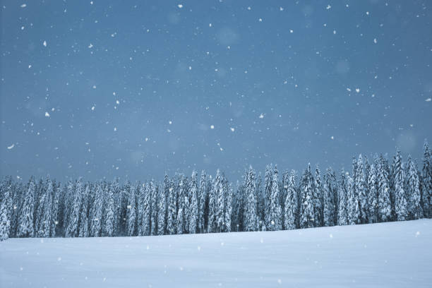 istock Snowcapped Winter Landscape 1336614787