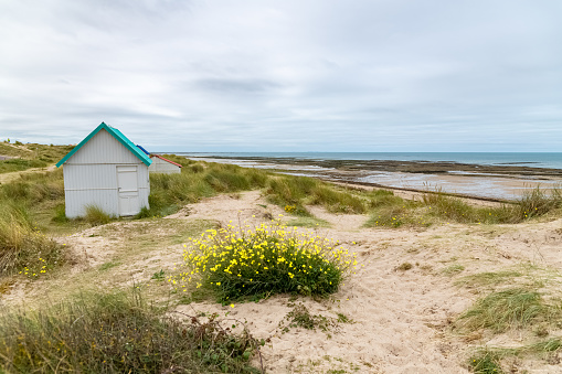 Gouville-sur-Mer, Normandy, colorful wooden beach cabins in the dunes