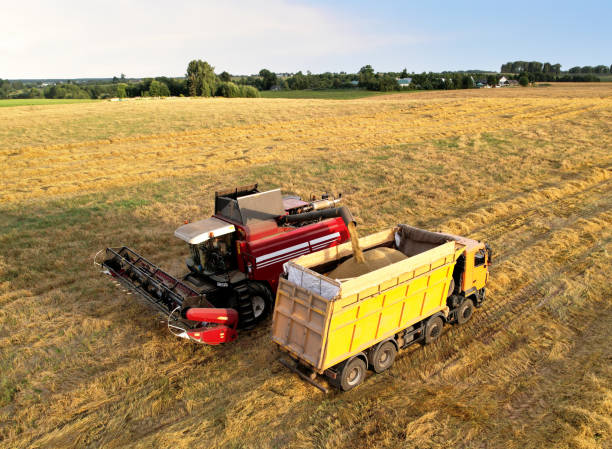 istock Combine harvester working in wheat field. 1336620241