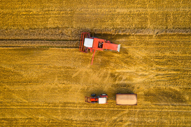 istock Beautiful scenery of fields during harvest 1336625564
