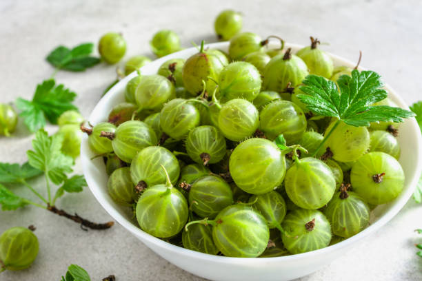 frutta fresca, uva spina verde in una ciotola su sfondo luminoso - gooseberry foto e immagini stock