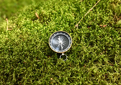 Compass on moss in forest. Tourist compass for orientation on the terrain. Magnetic declination alculator. Historical explorer help. Map reading and land navigation concept. Orient on maps