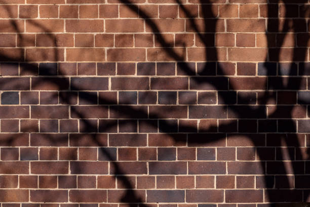 istock Part of a brick wall with shadows 1336634213