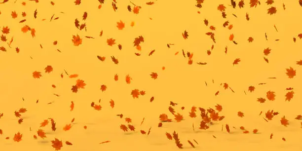 Photo of Autumn background of falling dry leaves. 3D illustration. Header.