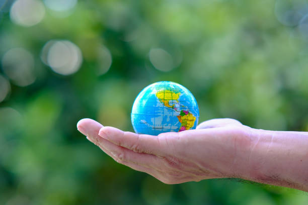 istock Business hand holding earth globe on green background, Global  connection and data exchanges, global communication concept, save world and business eco concept 1336638251