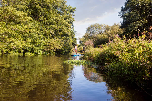 istock cute young couple paddle boarding on a river 1336638457