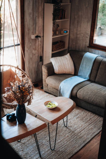 istock A modern cozy rope swing in the living room 1336639921