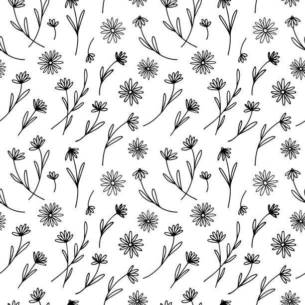 Seamless pattern with delicate daisies, wildflowers in line style. Daisy flowers on the field. Floral pattern with small rustic flowers. Elegant Blooming Botanical hand drawn background. daisy stock illustrations