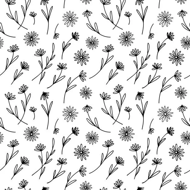 Vector illustration of Seamless pattern with delicate daisies, wildflowers in line style. Daisy flowers on the field.