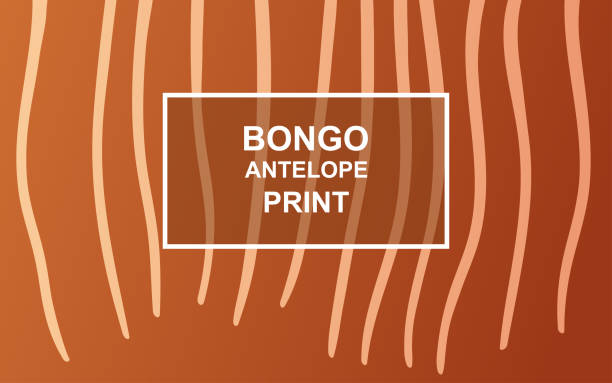 Bongo Antelope print texture with light stripes on brown background. Vector illustration Bongo Antelope print texture with light stripes on brown background. Vector illustration. Can be used for poster, banner, web page, wallpaper, fabric design, greeting card, presentation template antelope bongo stock illustrations