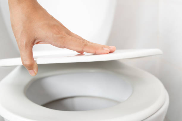 istock Woman's hand opening the toilet lid 1336644130