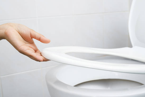 istock Woman's hand opening the toilet lid 1336644146