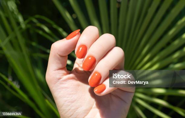 オレンジネイルデザインの女性の手オレンジマニキュアマニキュア熱帯植物の葉の背景に女性の手 - ネイルケアのストックフォトや画像を多数ご用意 - ネイルケア, マニキュア液, 手の爪