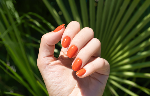 Female hand with orange nail design. Orange nail polish manicure. Female hand on a tropic plant leaf background.