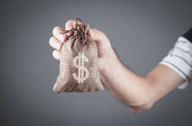 istock Caucasian man holding money bag. 1336647777