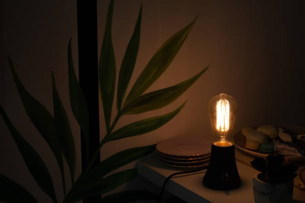istock Vintage light bulb with filaments stands on the table 1336649545