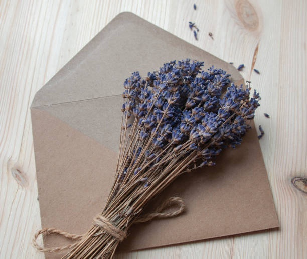 istock Bright lavander on wooden background with free space 1336650939