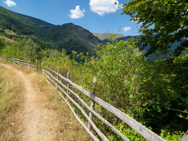 istock Earthen alley at Scarisoara hamlet, Cerna mountains, Romania 1336653032