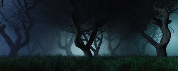 gloomy background of a forest with fog