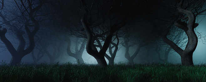 gloomy background of a forest with fog and cold lights in the distance. halloween concept. 3d rendering