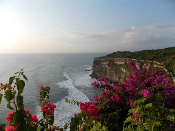 istock Cliffs and flowers view Uluwatu 1336658510