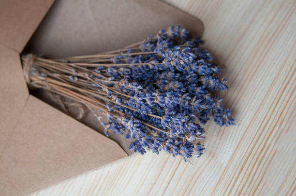 istock Bright lavander on wooden background with free space 1336658545