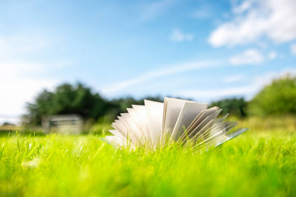 istock Open book on green grass in a field background 1336662660
